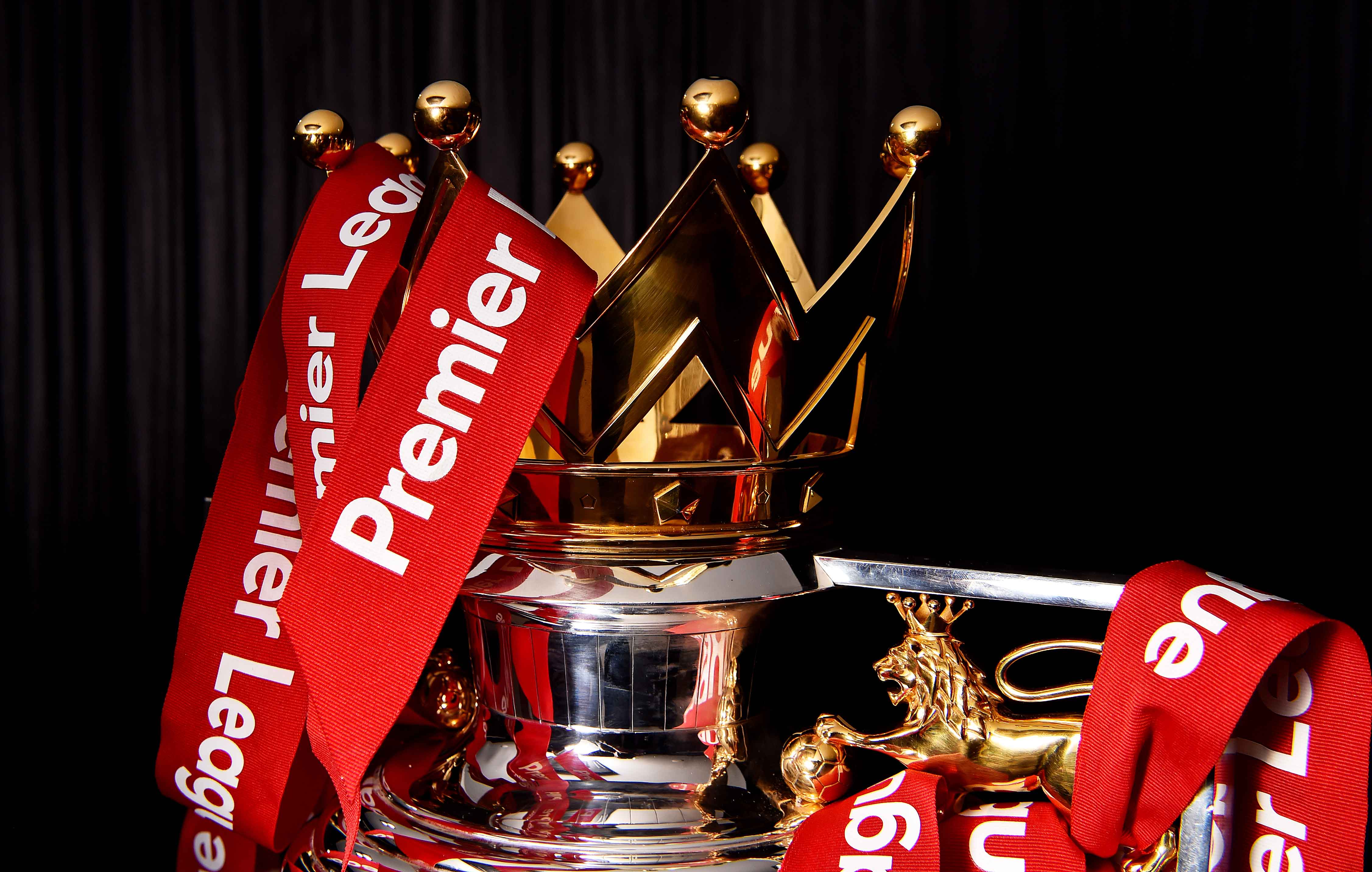 的阵容构成 的阵容构成